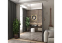 Image 2 - Шкаф-купе Doros G-Caiser / Джи-Кейзер 2-дверный с зеркалами 160 см, графит