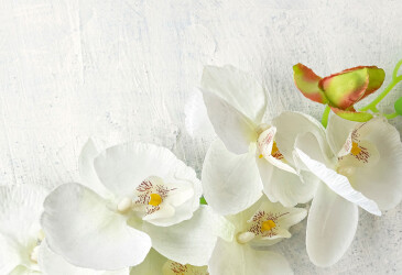 Фото Стеновая панель ДСП лак + рисунок WP 06 Svit Mebliv