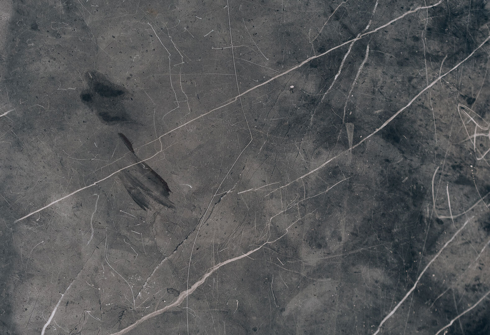 Фото 2 - Стеновая панель ДСП лак + рисунок WP 22 Svit Mebliv