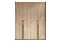 Image дуб аппалачі