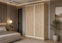 Зображення 2 - Шафа-купе VIP-master 2-дверна дуб аппалачі, 140х60х240 см, профіль білий Loft WT