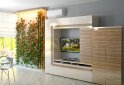 Image 2 - Гостиная Зебрано Неман