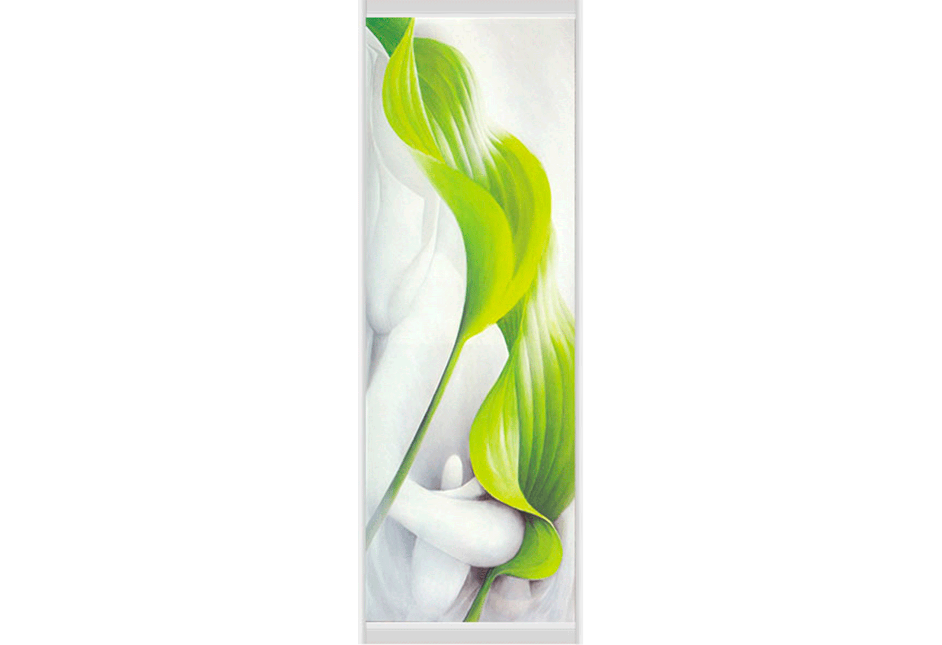 Фото Фасад Ф-650 Фотопечать Вип-Мастер