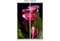 Image 16 - Фасад Ф-590 Фотопечать WT Рим-Венециано 3Д 1.8м Вип-Мастер