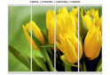 Image 46 - Фасад Ф-590 Фотодрук WT Рим-Венеціано 4Д 2.4м VIP-master