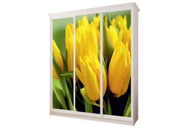 Image Рим-Венеціано 3Д 1.9м VIP-master
