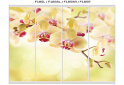 Image 37 - Фасад Ф-630 Фотодрук WT Рим-Венеціано 4Д 2.5м VIP-master