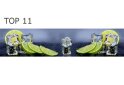 Изображение 21 - Панель ХДФ декоративная (кухонный фартук) 2800х610х6 Expowall