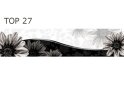 Изображение 32 - Панель ХДФ декоративная (кухонный фартук) 2800х610х6 Expowall