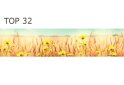 Изображение 35 - Панель ХДФ декоративная (кухонный фартук) 2800х610х6 Expowall