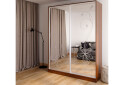 Фото 3 - Шкаф-купе 2Д 1700х2400 Киевский стандарт