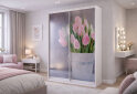 Image 2 - Шкаф-купе Киевский стандарт 2-дверный с фотопечатью 130x240x60 см