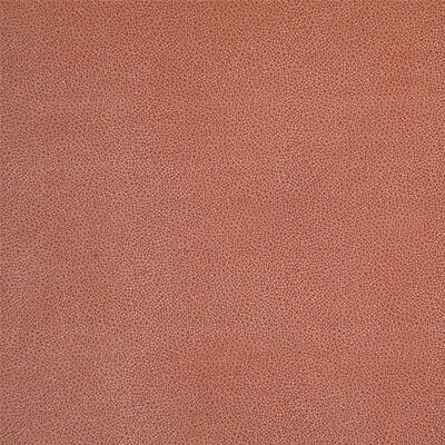 Фото Elari Дивотекс 6