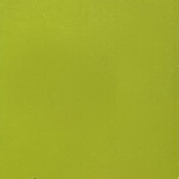 Фото яблоко S 3050 G70 Y