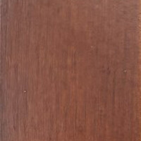 Фото яблоня