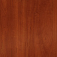 Фото яблоня