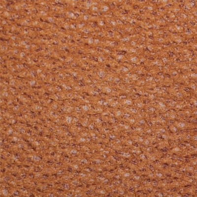 Фото Бизон Дивотекс Bizon 310