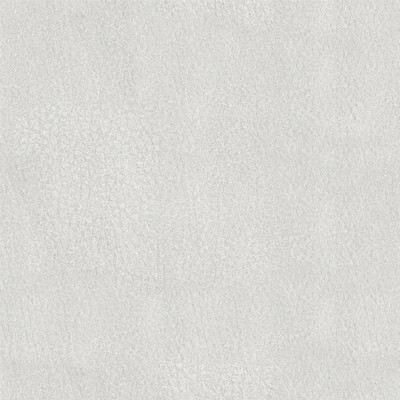 Фото Richmond Артекс Bone