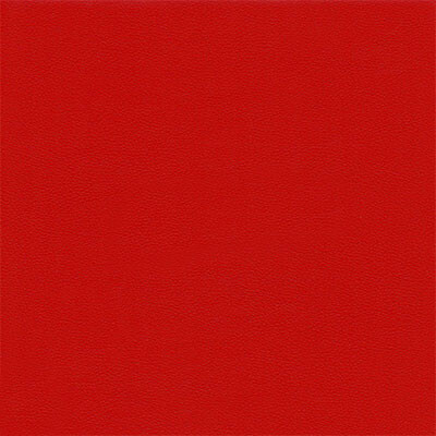 Фото Boston шкірзам Bjorn Boston 06