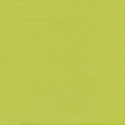 Фото Boston шкірзам Bjorn Boston 11