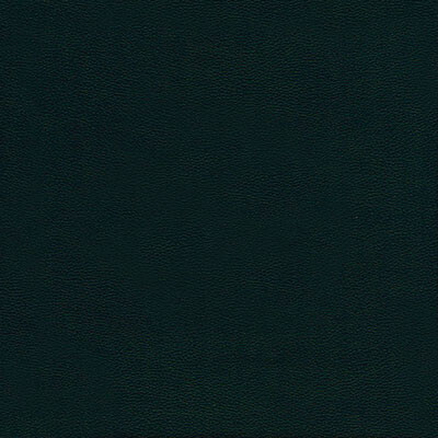 Фото Boston шкірзам Bjorn Boston 15