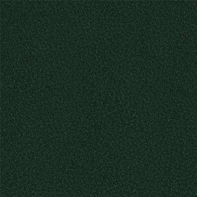 Фото Richmond Артекс Bottle green
