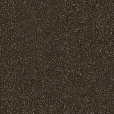 Фото Richmond Артекс Brown