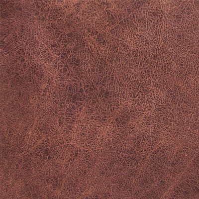 Фото Assen Дивотекс Brown