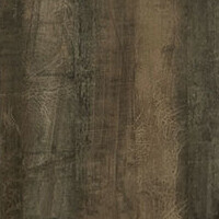 Фото дерево трансильвания