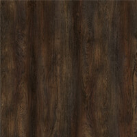 Фото дуб якибан