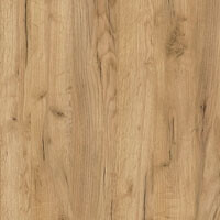 Фото дуб аппалачі