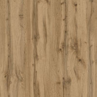 Фото дуб аппалачи