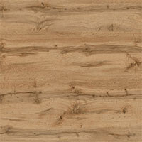 Фото дуб аппалачи