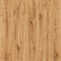 Фото дуб артизан