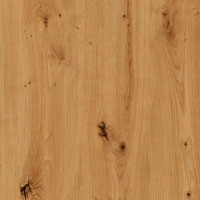 Фото дуб артизан