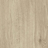 Фото дуб белый