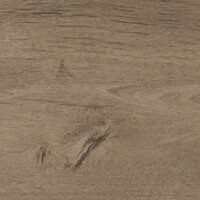 Фото дуб бургундский