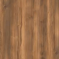 Фото дуб янтарный