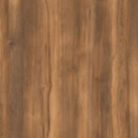 Фото дуб янтарный