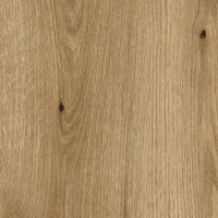 Фото дуб эвок