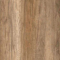 Фото дуб каньон