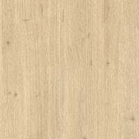 Фото дуб королевский