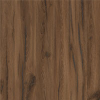 Фото дуб ливорно