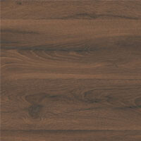 Фото дуб ливорно