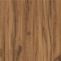 Фото дуб ливорно