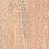 Фото дуб сонома