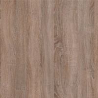 Фото дуб сонома трюфель