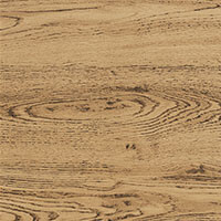 Фото дуб старый Н