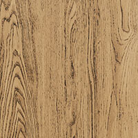 Фото дуб старый V