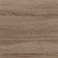 Фото дуб трюфель